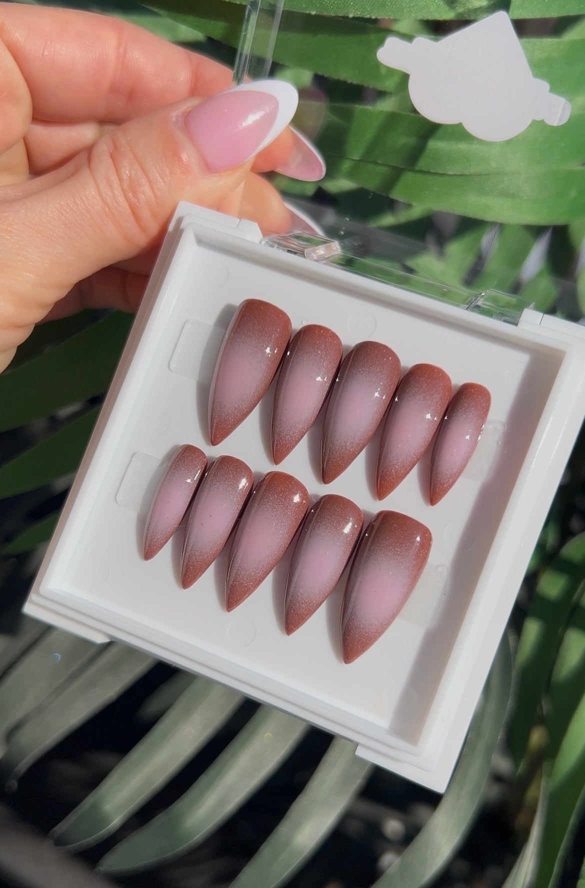 Mousse
