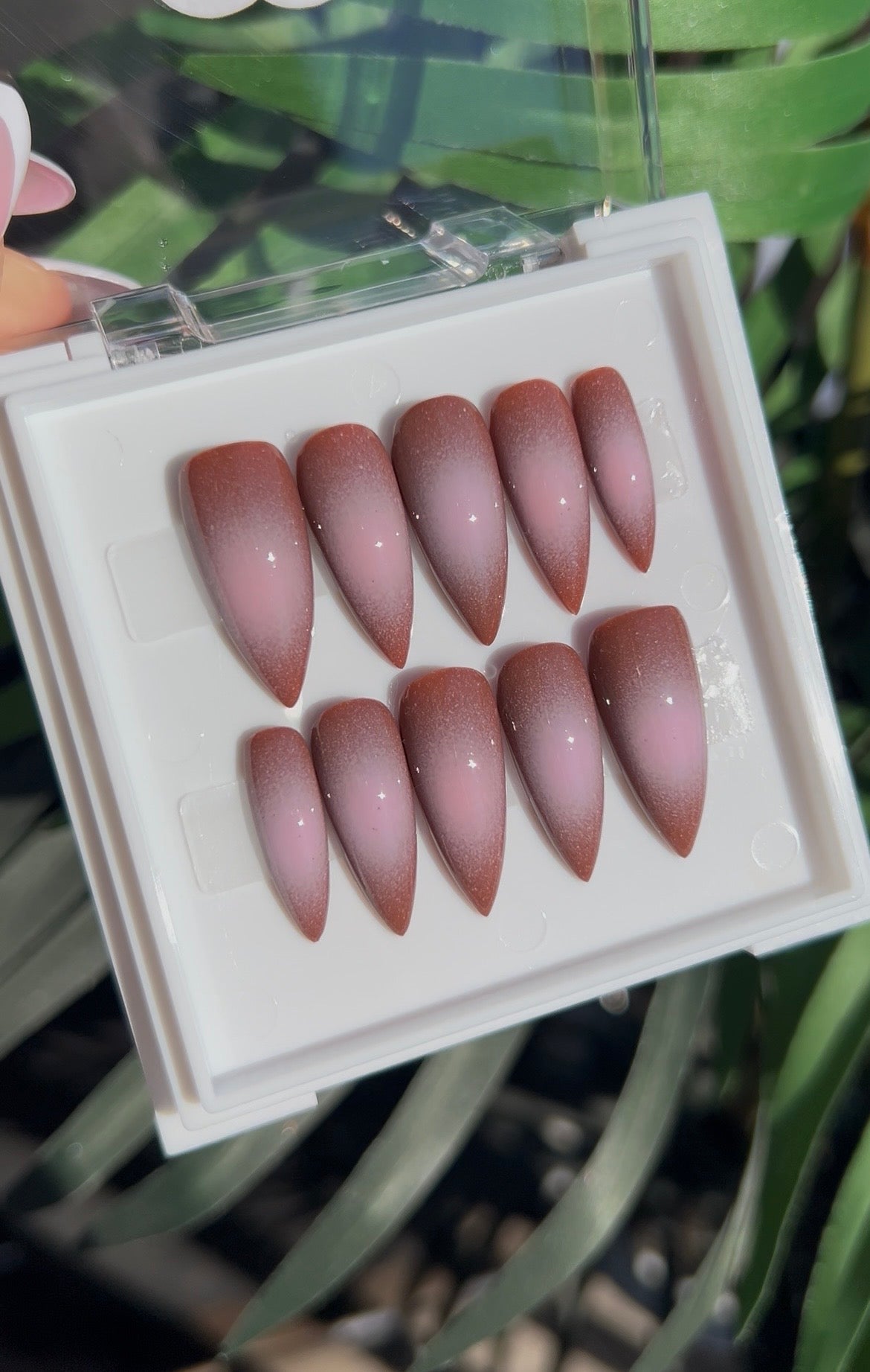 Mousse