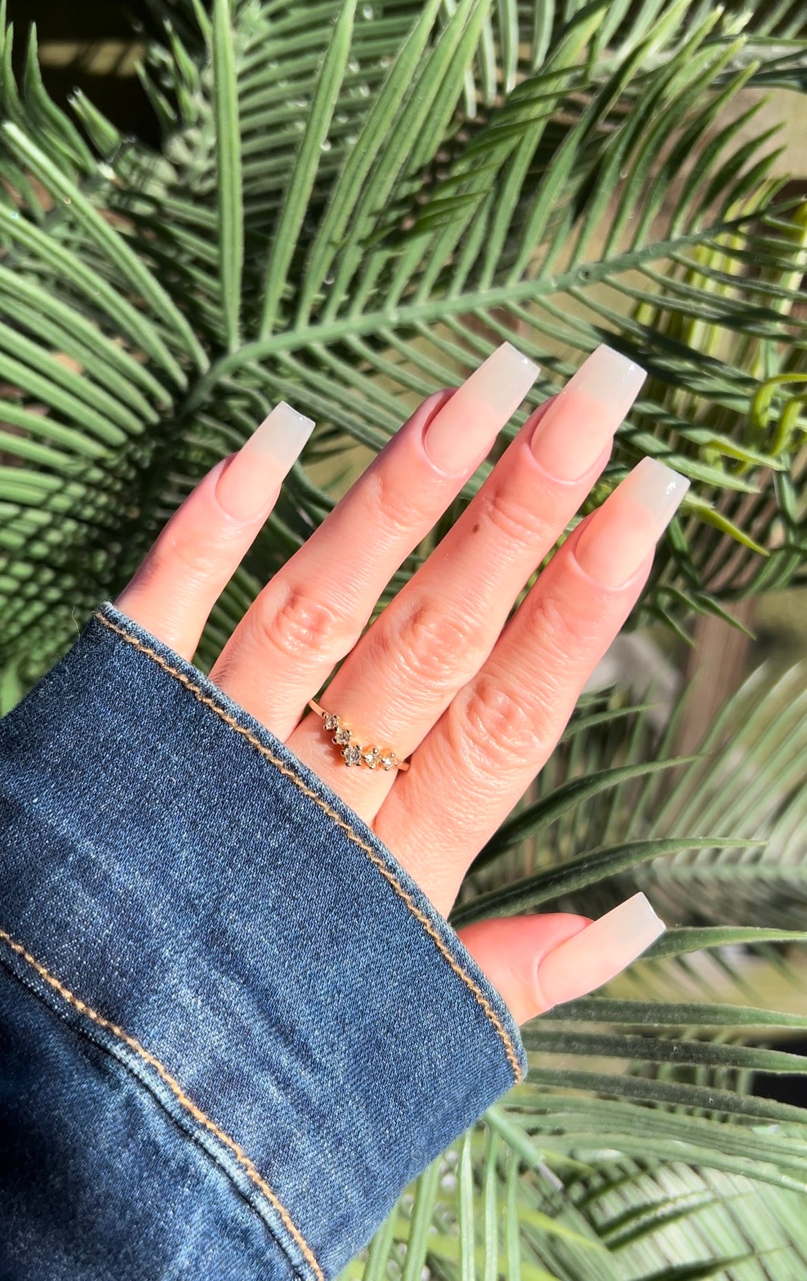 Sheer nude