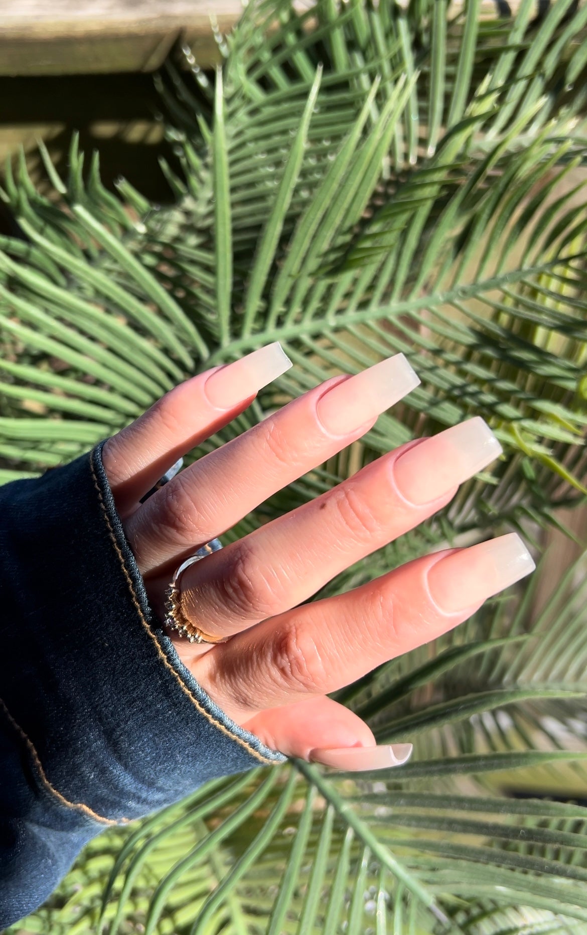 Sheer nude