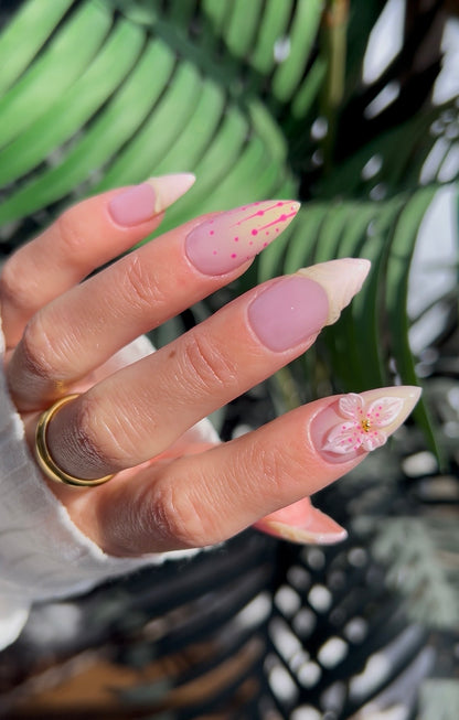 Blush Petal