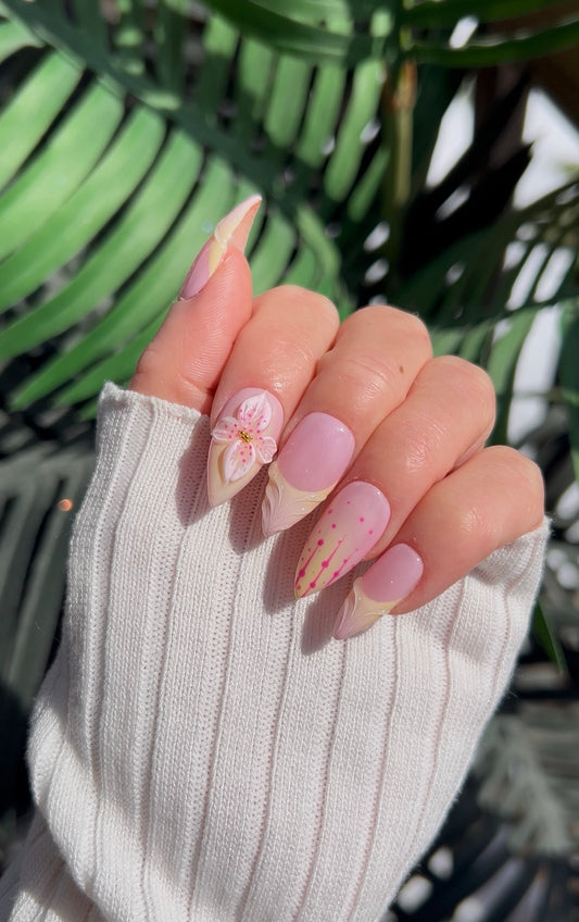 Blush Petal