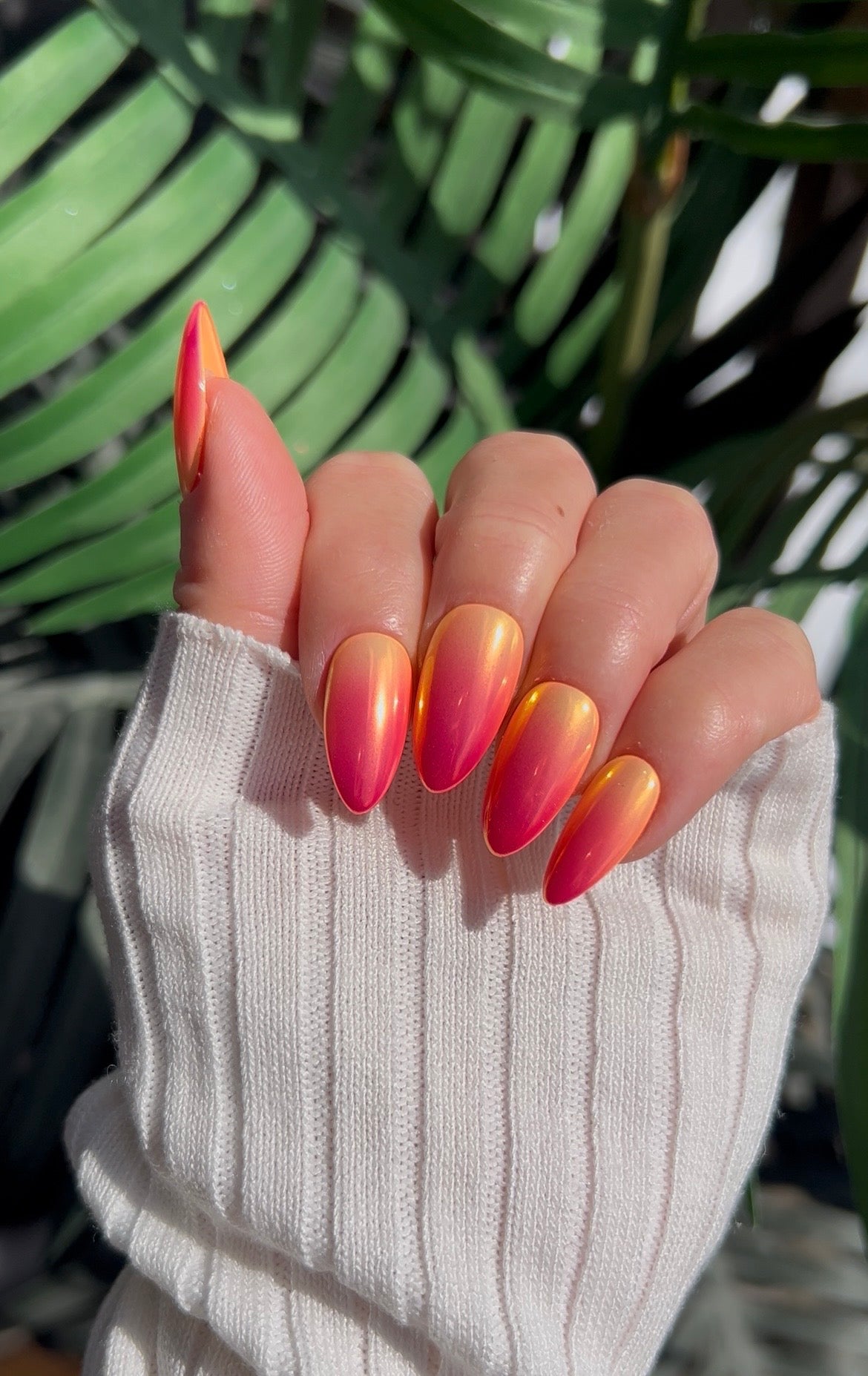 Tequila Sunset