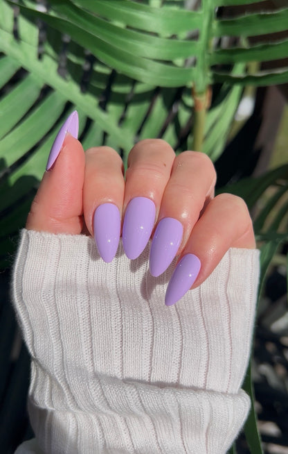 Lavender Dreams