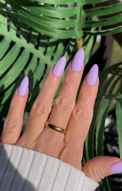 Lavender Dreams