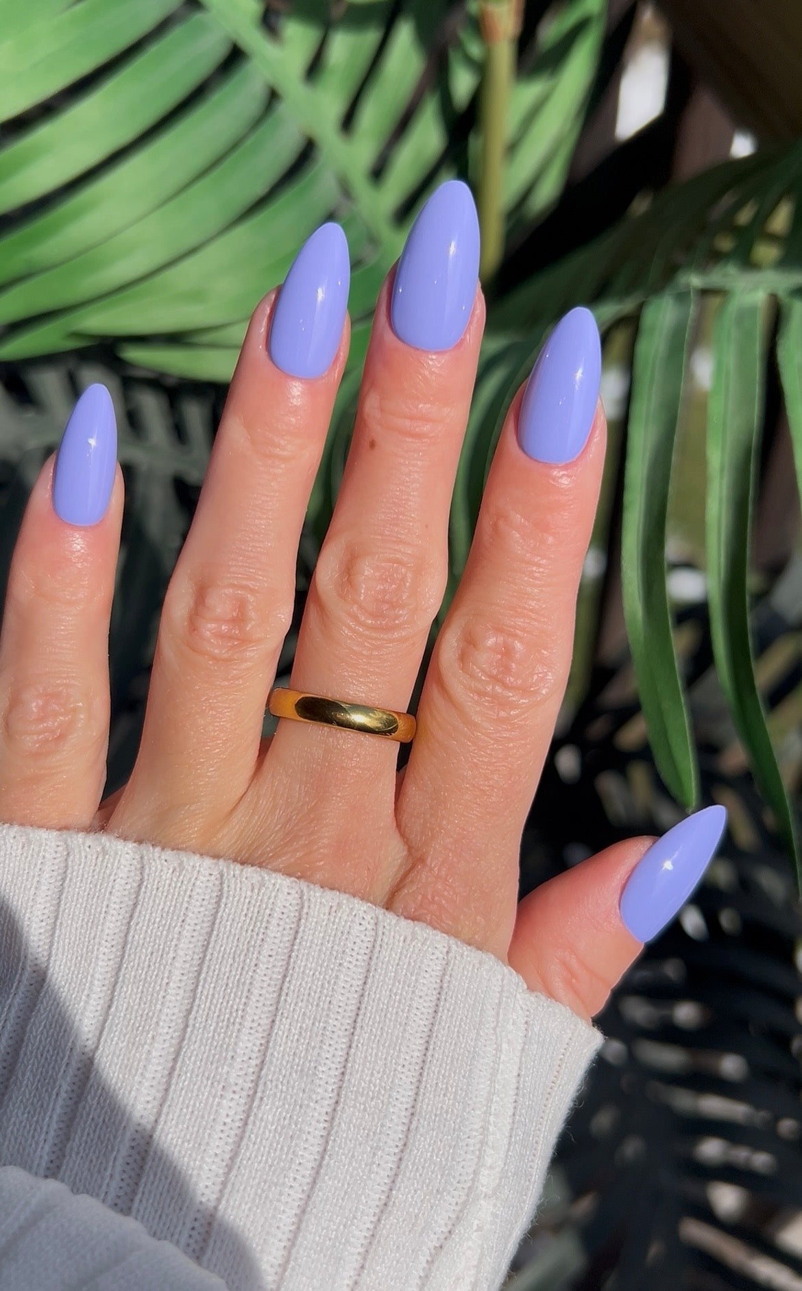 Periwinkle