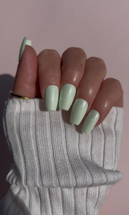 Matcha Milk