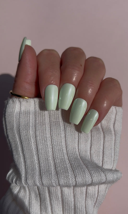 Matcha Milk