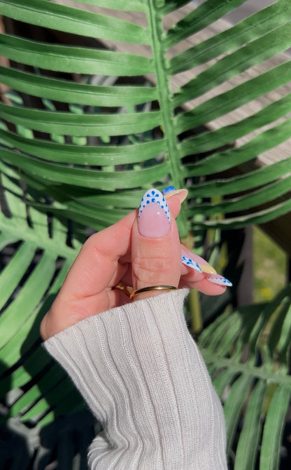Blueberry Bliss