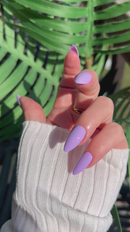Lavender Dreams