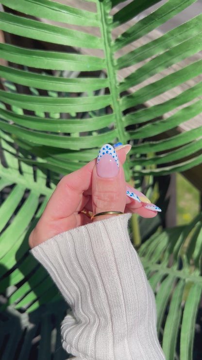 Blueberry Bliss